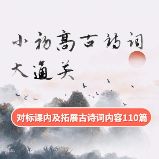 小初高古诗词大通关 商品图0