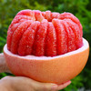 三红蜜柚 现摘现发果肉细腻多汁香甜可口 商品缩略图0