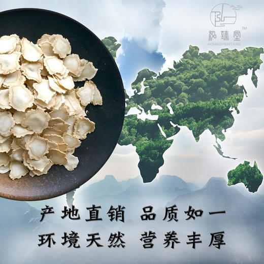 泓臻堂人参片1.4cm特大片45克亚克力罐装—rxs 商品图3