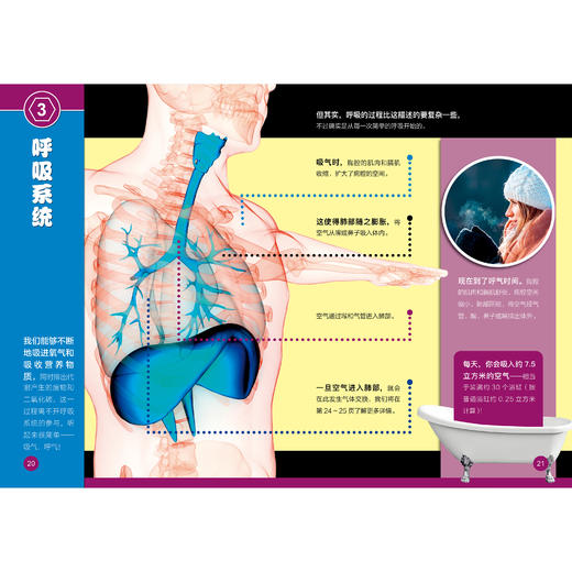 《了不起的生物》（全10册） 商品图7
