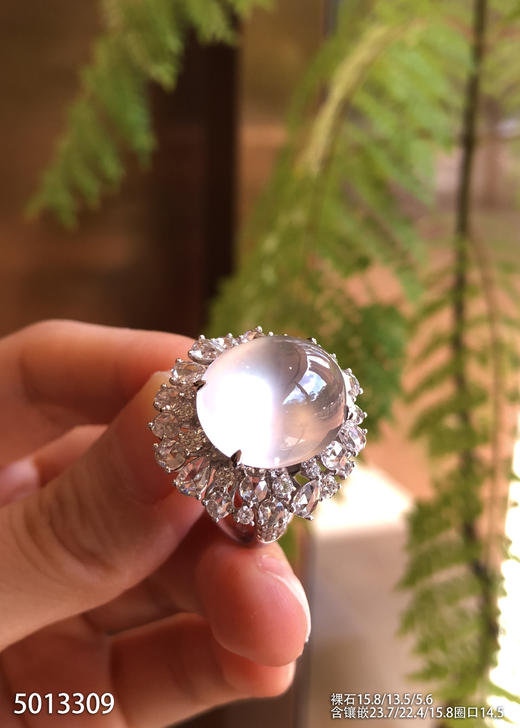 玻璃种蛋面戒指【5013309】具体价格微信咨询 商品图2
