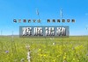 国庆3天｜辉腾锡勒｜一张照片引起的冲动の火山草原-辉腾锡勒草原-网红黄花沟-乌兰察布之夜 商品缩略图0
