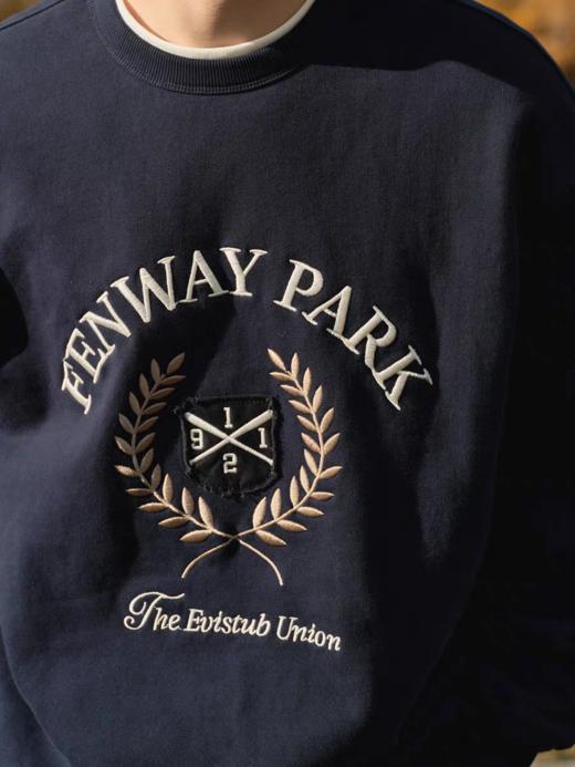 Evistub/E-4DWY930/重磅云朵绒贴布绣卫衣 商品图1