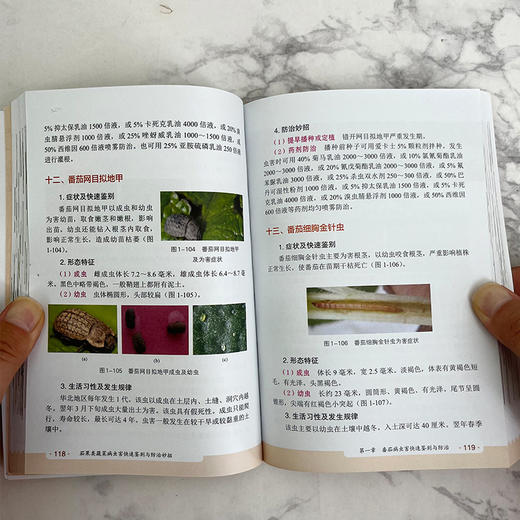 茄果类蔬菜病虫害快速鉴别与防治妙招 商品图4