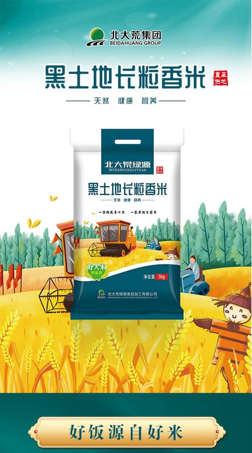 北大荒绿源黑土地长粒香米5kg—rxs 商品图0