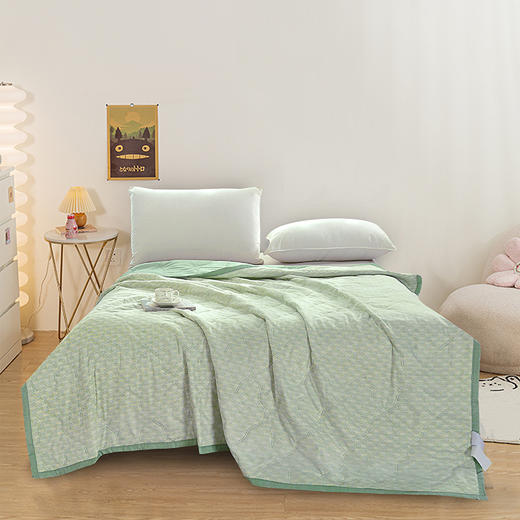 無印良品艾草清香爽肤被MJ-BZ6258—rxs 商品图0