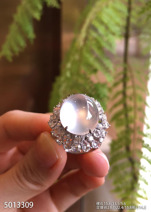 玻璃种蛋面戒指【5013309】具体价格微信咨询 商品图0