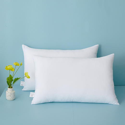 博洋家纺（BEYOND 安眠对枕 商品图3
