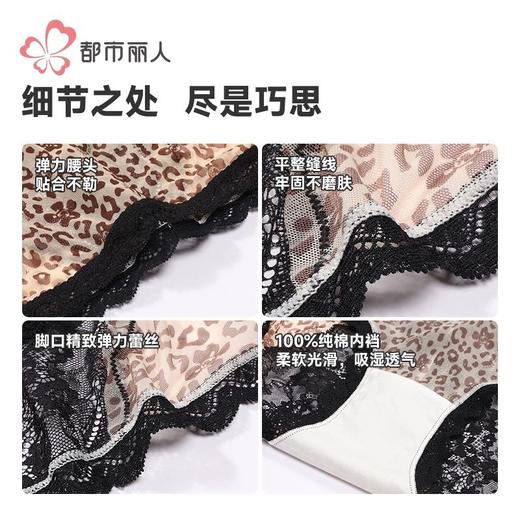 都市丽人内裤女士内裤蕾丝内裤女士三角内裤女内裤LKH3M8 商品图6