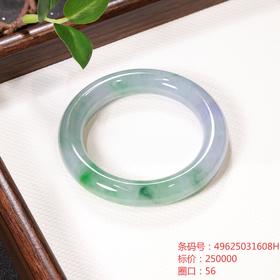 高货青绿色翡翠手镯 传家宝温润圆满中式翡翠手镯49625031608H（一口价）