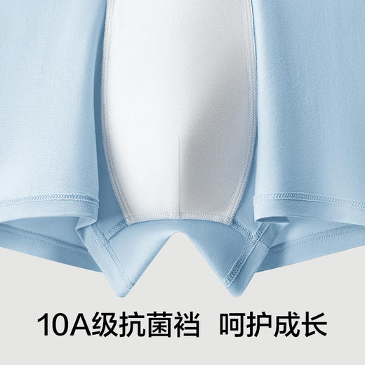 【新品上新】有棵树10A抗菌青少年中大童短裤男童四角内裤-U1262 商品图1