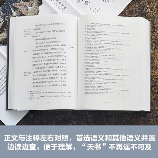 芬尼根的守灵夜 全译注释本 赠藏书票 詹姆斯乔伊斯 与尤利西斯并肩的世界文学经典 译林出版社 华东师范大学出版社 商品图3