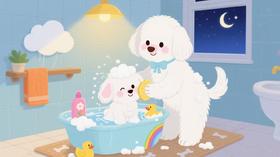 Vol.13 洗香香的小白狗