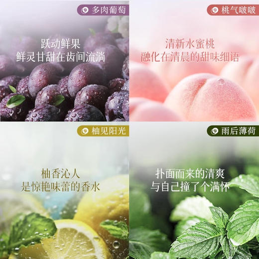 【买一送一，到手500ml*2瓶】POZTL泊紫汀兰 大容量益生菌漱口水 | 四个口味 清洁口腔 清新口气 商品图4