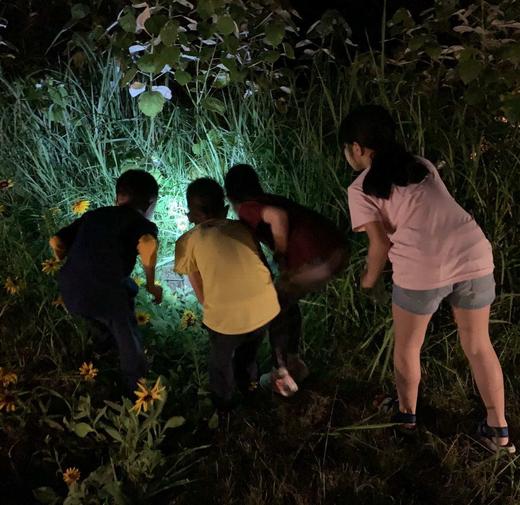 【江西新余】树蛙部落寒假早鸟直降特惠套餐3天2晚 森林冬宴 商品图4
