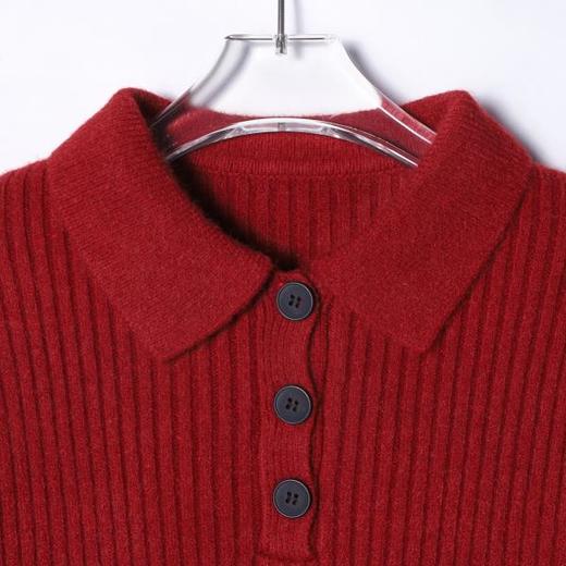 72500SDSA男士秋冬新款痞帅男装纯色polo领毛衣下摆流苏设计百搭针织衫 商品图1