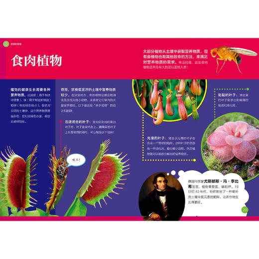 《了不起的生物》（全10册） 商品图14