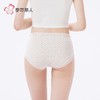 都市丽人女士内裤40支棉内裤女士平角内裤女内裤纯棉内裤LKH5V9 商品缩略图3