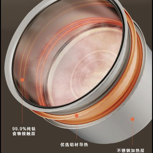 亚摩斯纯钛电压力锅YDG50-100A221T—rxs 商品图4