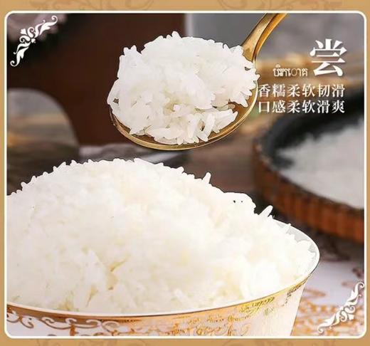 金挞莉柬埔寨香米 传统农耕 软糯清香 外表细长 洁白晶莹  省内顺丰包邮！ 商品图7