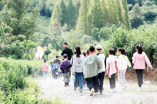 【智行研学】“枣”点快乐、美“栗”之约、桨板少年，周末研学~ 商品图4