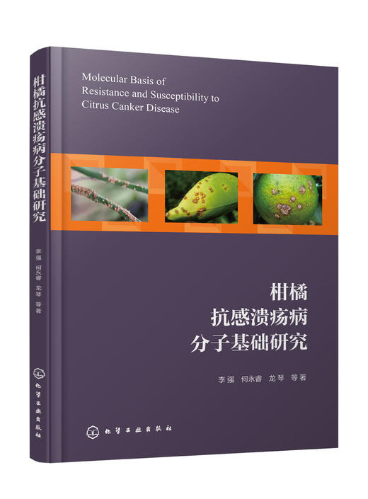 柑橘抗感溃疡病分子基础研究 商品图0