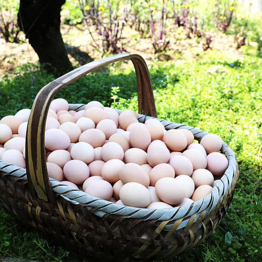 山林/散养/黄山黑鸡鸡蛋/30枚装/（泡沫箱包装防破损，收货后请及时取出保鲜储存） 商品图2
