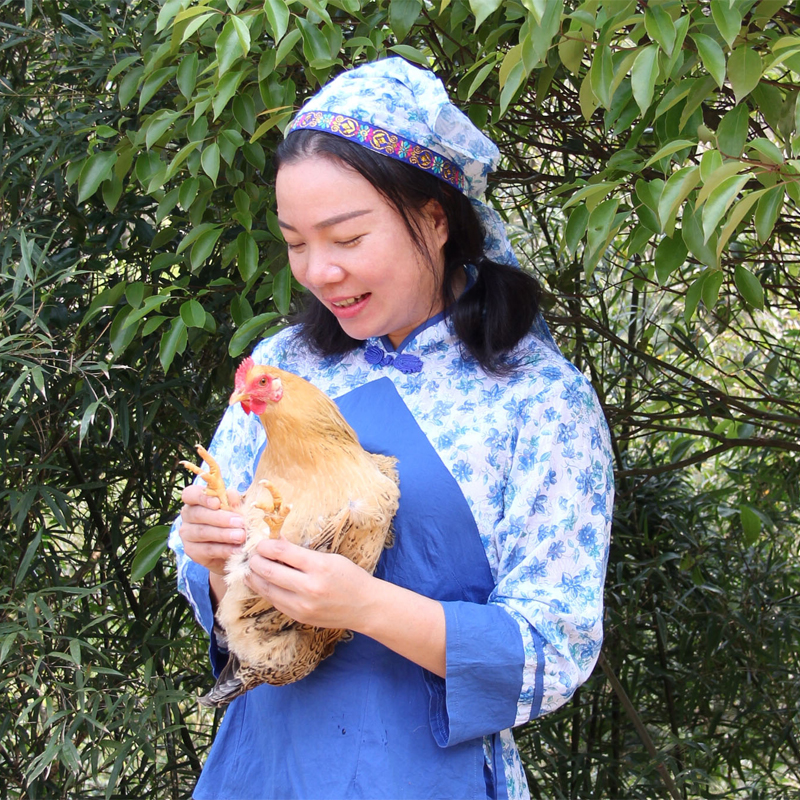 八乡山高山散养150-220天以上的灵芝鸡，当天现杀锁鲜（剁好派送）原汁原味