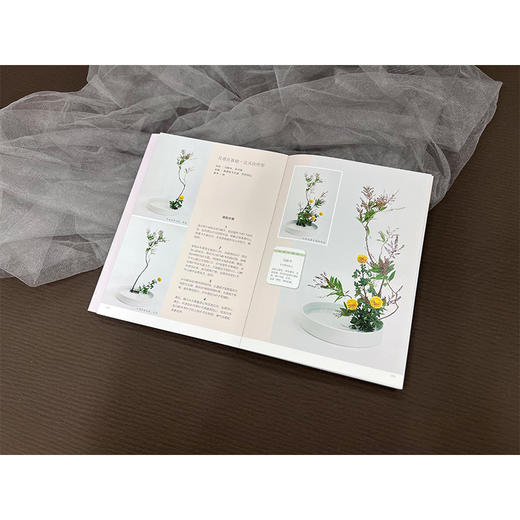 小原流花道技法教程 商品图4