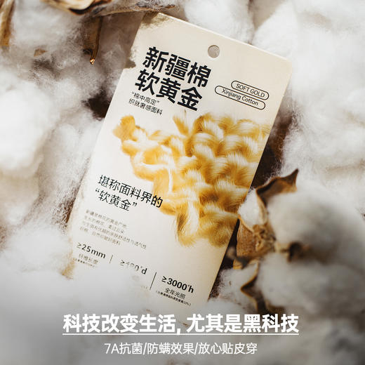 马登工装新疆纯棉长袖T恤纯色内搭打底白色重磅高克重体恤男秋季 商品图1