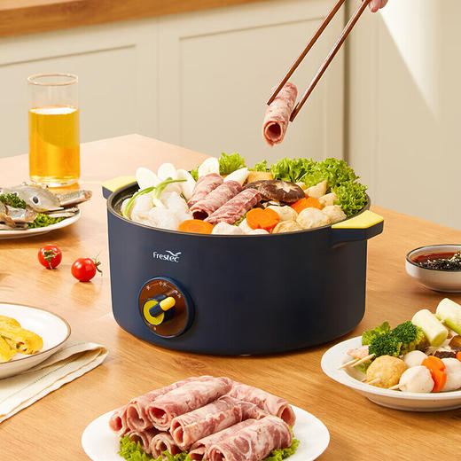 新飞（Frestec）电火锅3L FTHG-R060 商品图3