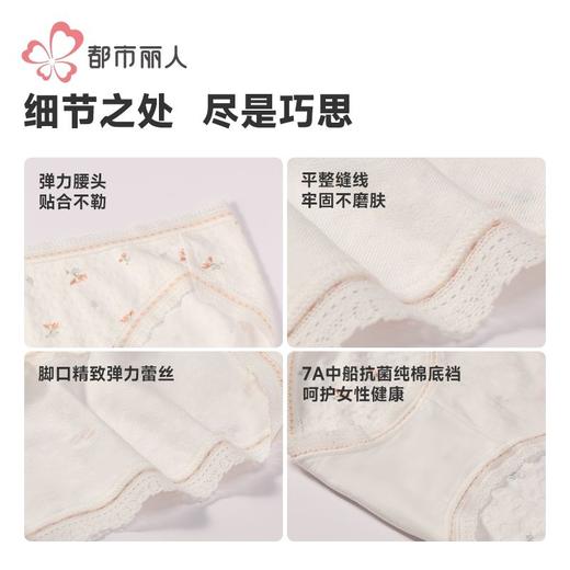 都市丽人内裤女士棉提花内裤女士三角内裤女内裤纯棉内裤LKH2C3 商品图8