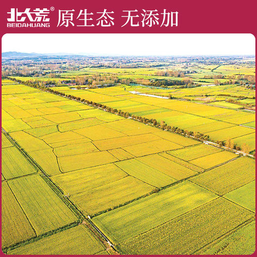 北大荒玉晶香米5kg—rxs 商品图1