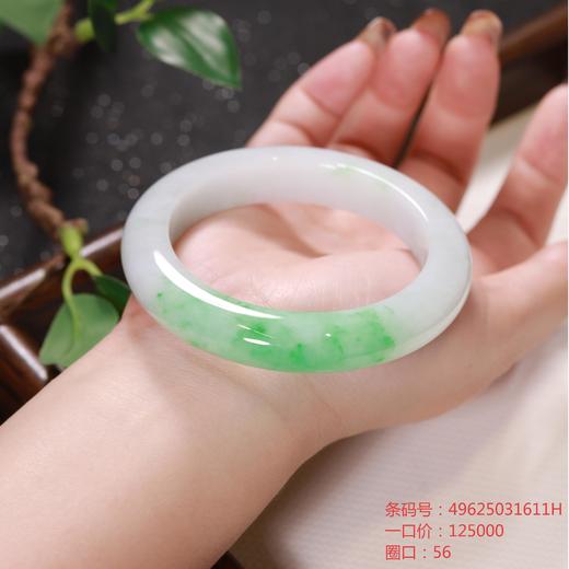 高货青绿色翡翠手镯 传家宝温润圆满中式翡翠手镯49625031611H（一口价） 商品图1