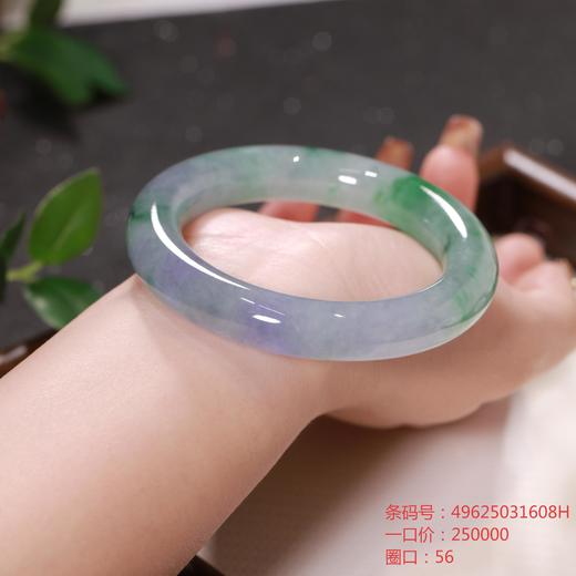 高货青绿色翡翠手镯 传家宝温润圆满中式翡翠手镯49625031608H（一口价） 商品图1