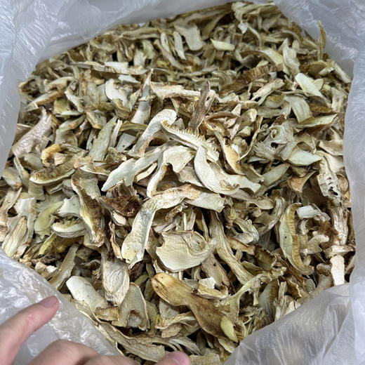 香格里拉野生松茸干片 商品图1
