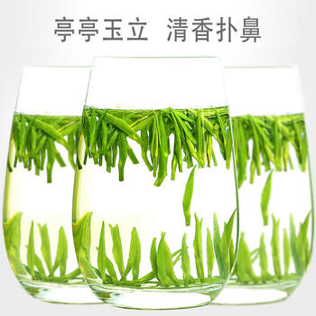 天旭茶叶绿茶雀舌特级四川毛尖2026新茶春茶明前嫩芽高山云雾茶250g /水饮冲调 /茗茶 /绿茶 商品图2