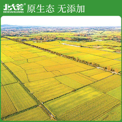 北大荒优质东北米2.5kg—rxs 商品图1