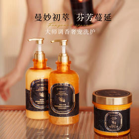 格兰大地（green land）黑莓月桂香活力沁爽洗发露 500ml