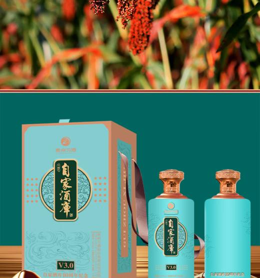 习酒自家酒库53度 v3.0 酱香型白酒1500ml单瓶装-jmw 商品图3