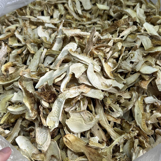 香格里拉野生松茸干片 商品图2