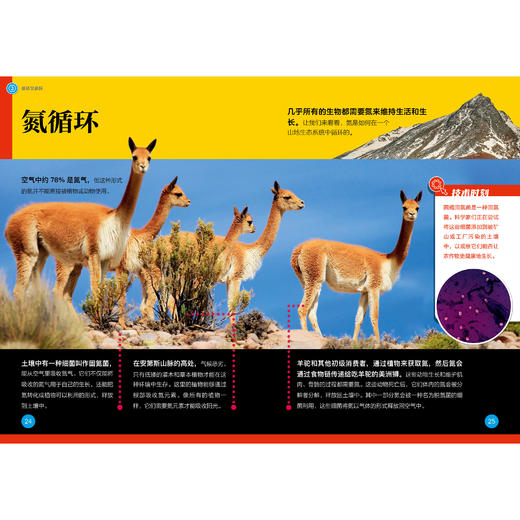 《了不起的生物》（全10册） 商品图10