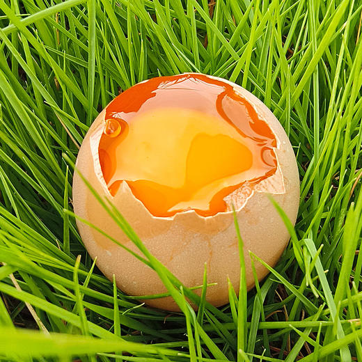 山林/散养/黄山黑鸡鸡蛋/30枚装/（泡沫箱包装防破损，收货后请及时取出保鲜储存） 商品图5