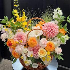 巜春华》秋季新品手提篮奶油风手提花篮