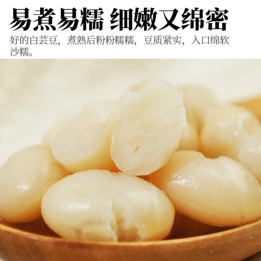 人民有机小白芸豆380g 商品图3