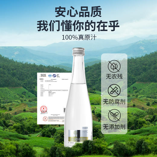【顺丰包邮】黑河产区伊森阳光白桦树汁315ml/瓶 商品图0
