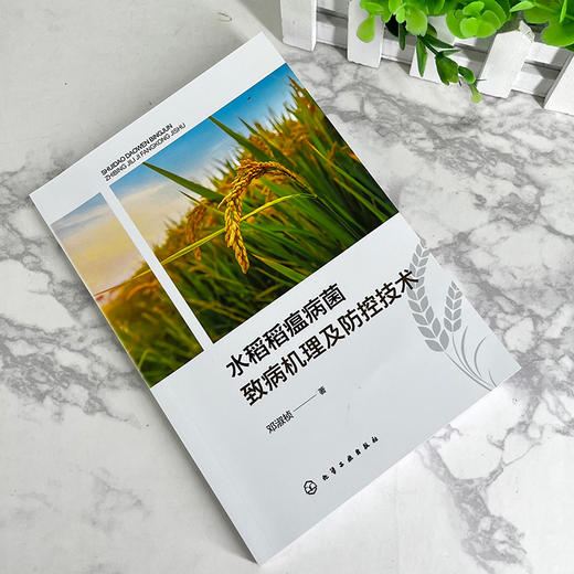 水稻稻瘟病菌致病机理及防控技术 商品图2