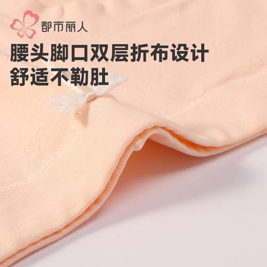 都市丽人内裤女士棉提花内裤女士平角内裤女内裤纯棉内裤LKH5W2 商品图5