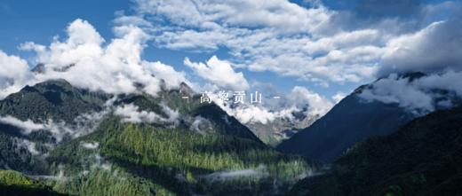 【9.28出发云南芒市/腾冲 2025秋假国庆 | 6天5晚】自然秘境·高黎贡：在神奇的高黎贡山，开启6天自然与人文的奇遇 商品图0