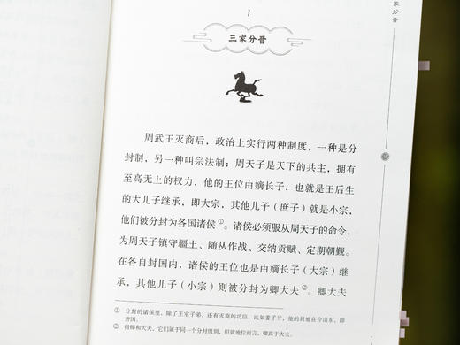 【文史必读经典】《少年读<资治通鉴>》20册礼盒装|国内罕见连续性、大全套中国通史|北大泰斗权威推荐|帮孩子稳心性、强思辨、提素养 商品图5